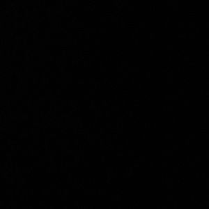 Meet your Posher, Mia